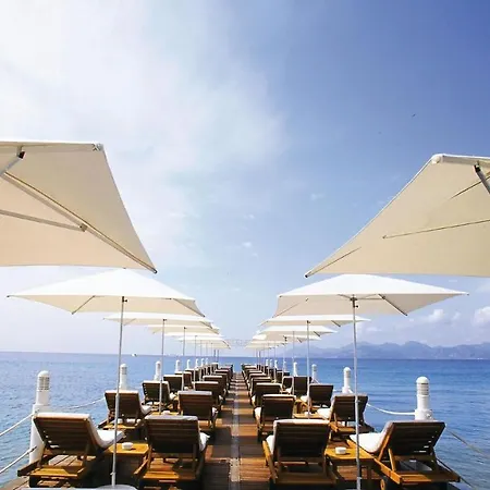 August * Cannes